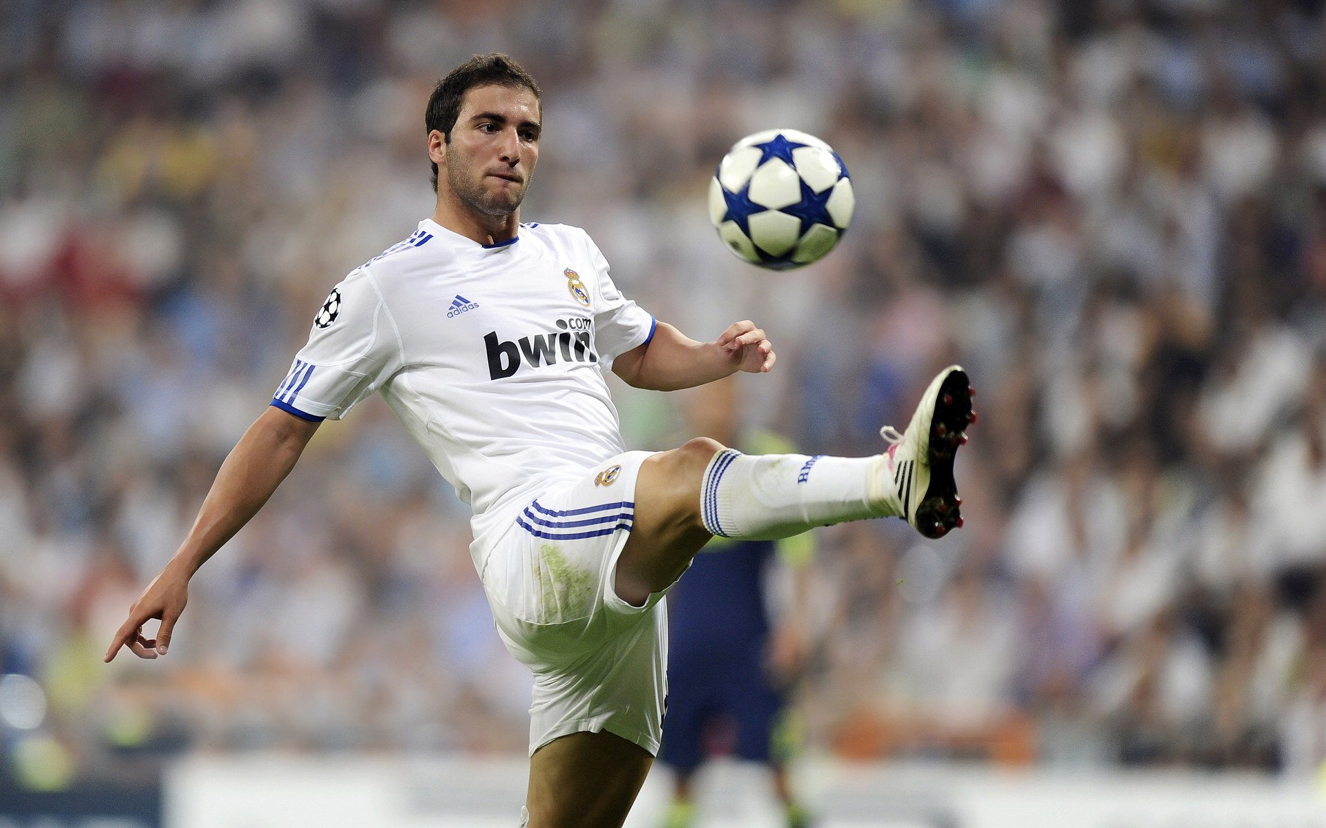 特色野外生存真人秀，竞技、生存与冒险的完美结合，有什么好看的野外生存真人秀